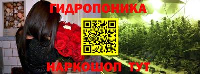 Альфа ПВП Камышлов