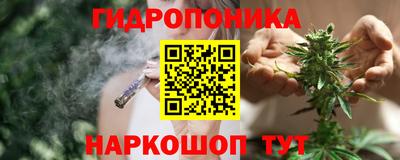 Альфа ПВП Камышлов