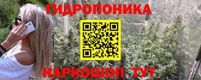 альфа пвп Кандалакша