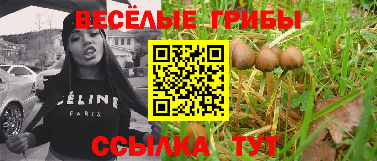 Псилоцибиновые грибы мицелий  Галлюциногенные грибы Psilocybe  Вход с VPN  Красноуфимск 